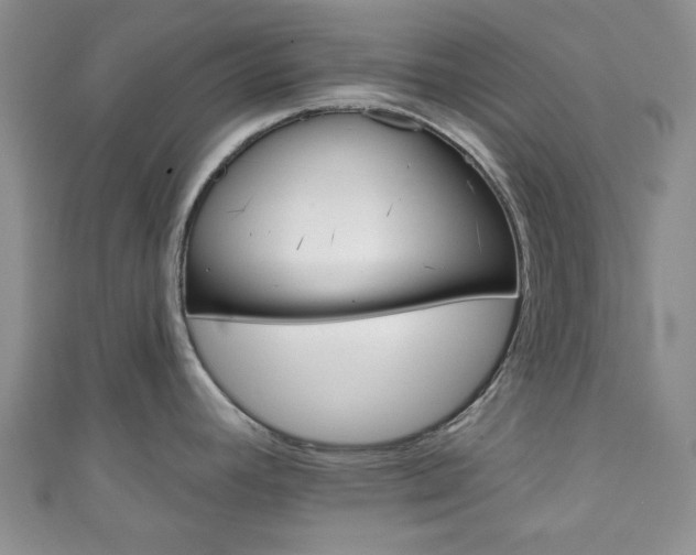 X0000111001392200906261449