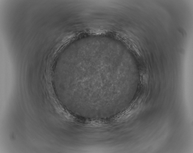 X0000111001393200906261449