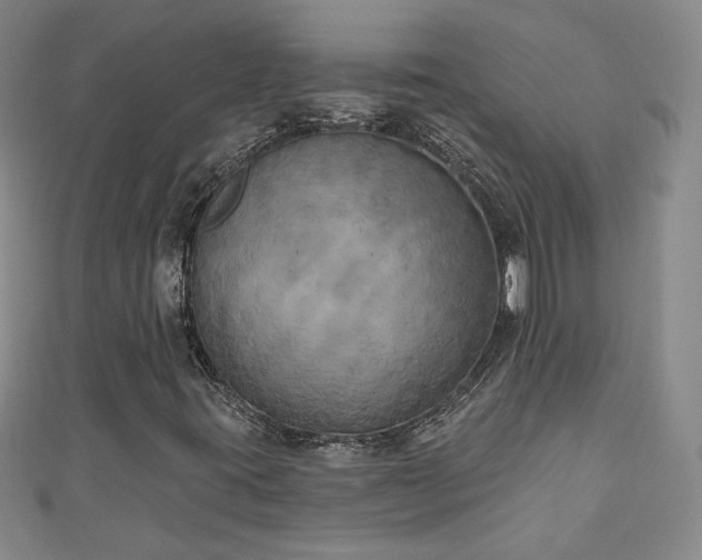 X0000111001395200906261449