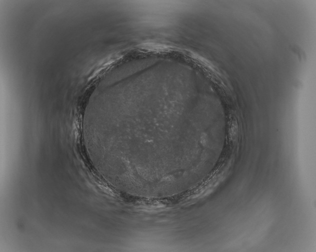 X0000111001397200906261449