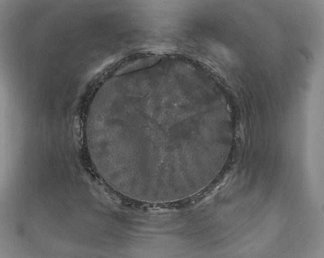 X0000111001398200906261449