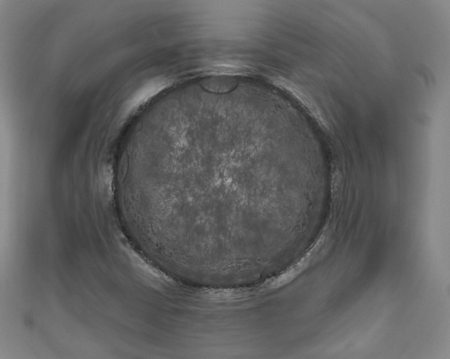 X0000111001402200906261449