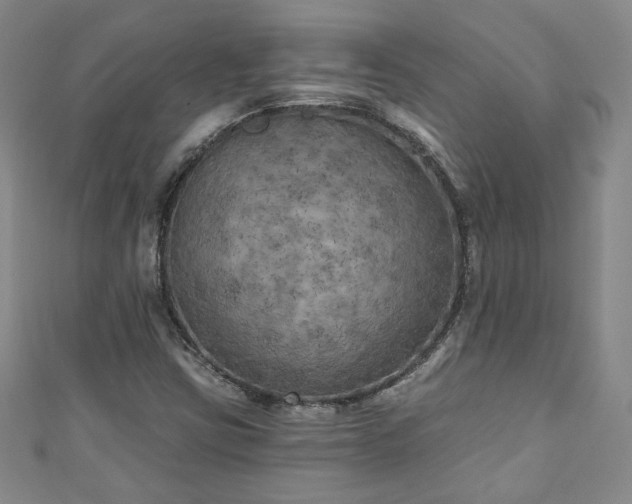 X0000111001403200906261449