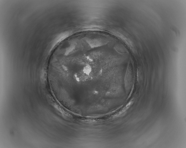 X0000111001405200906261449