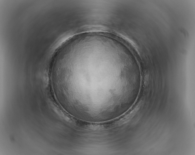 X0000111001407200906261449