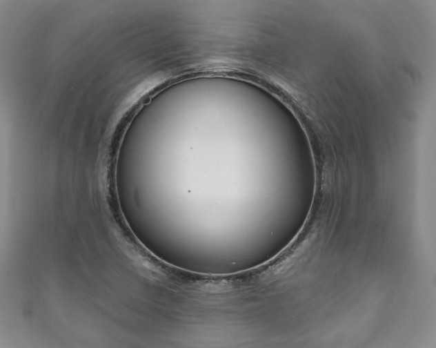 X0000111001410200906261449