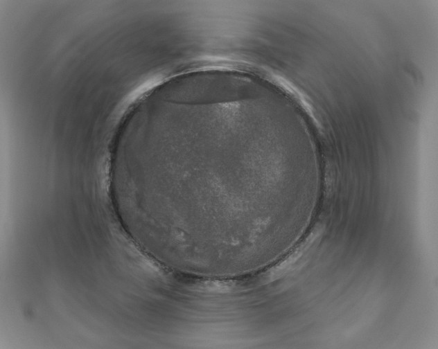 X0000111001411200906261449