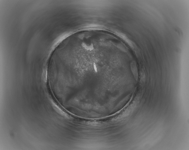 X0000111001413200906261449