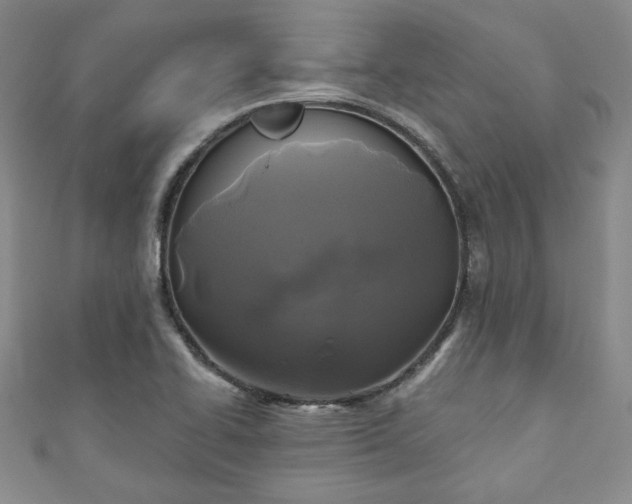 X0000111001414200906261449