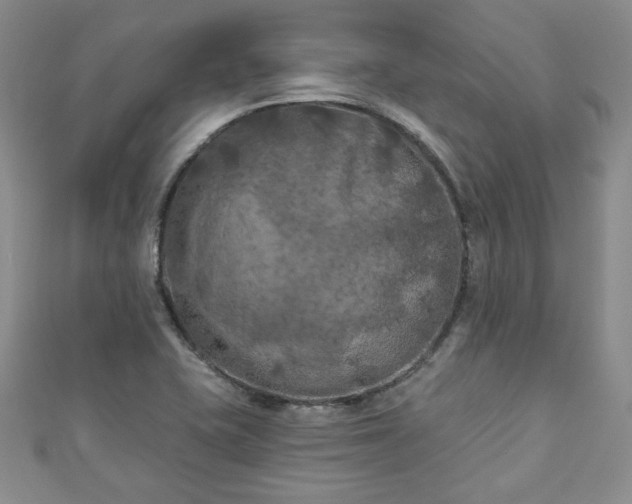 X0000111001415200906261449