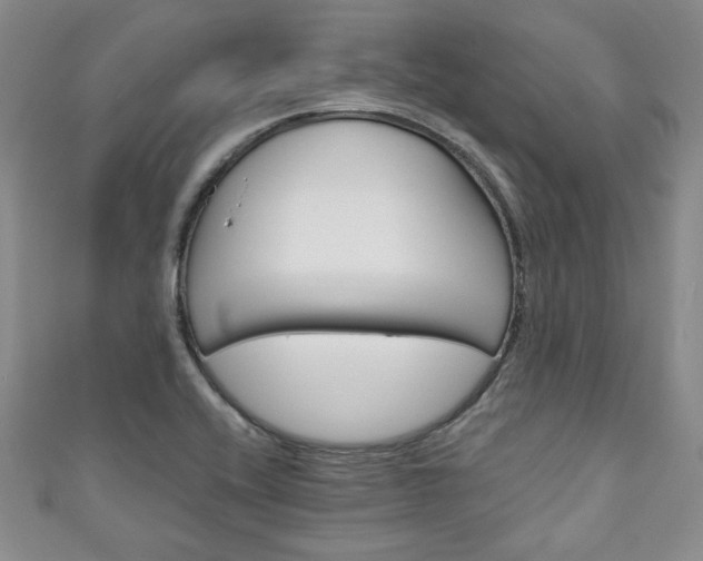 X0000111001416200906261449