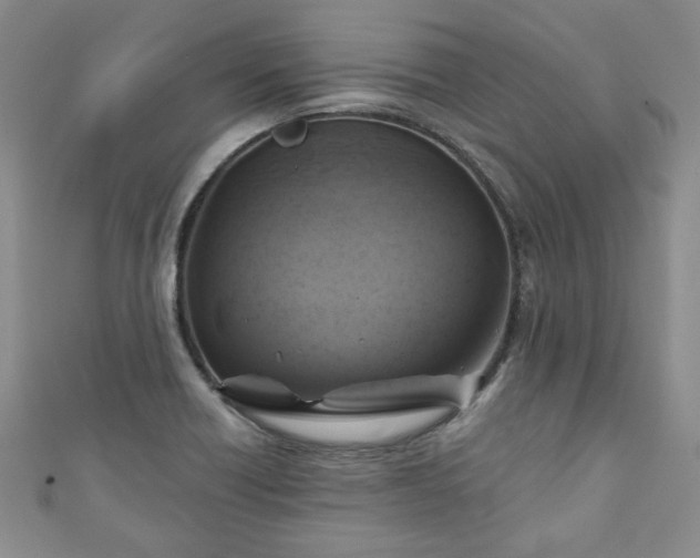 X0000111001418200906261449