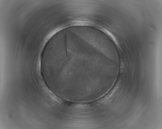 X0000111001419200906261449