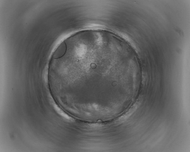 X0000111001421200906261449