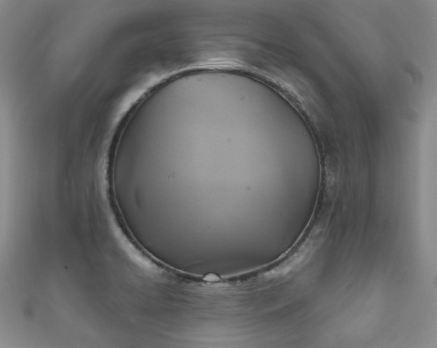 X0000111001422200906261449