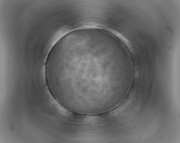 X0000111001423200906261449