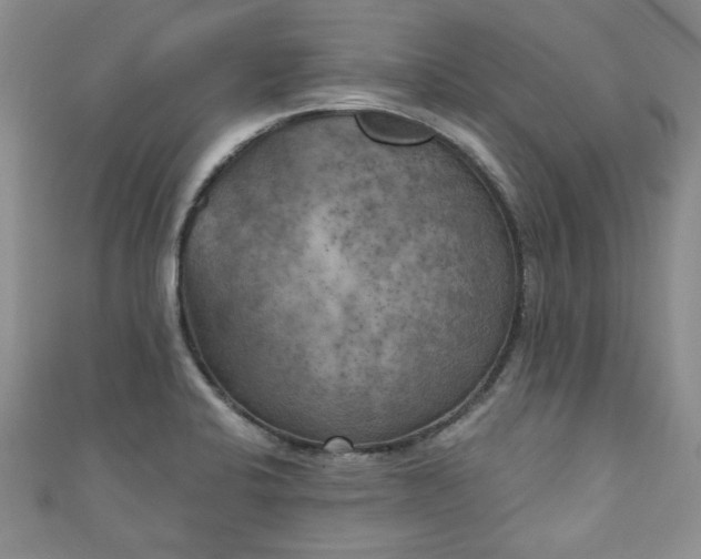 X0000111001424200906261449