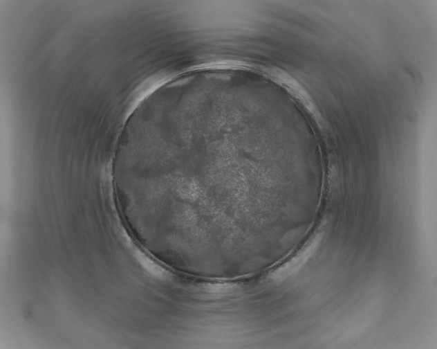 X0000111001425200906261449