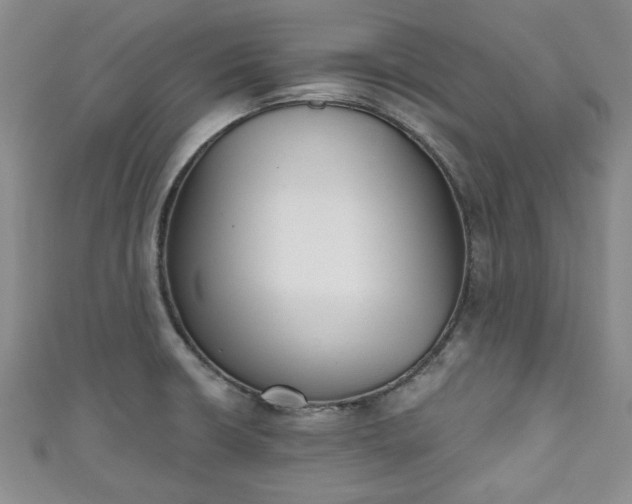 X0000111001426200906261449