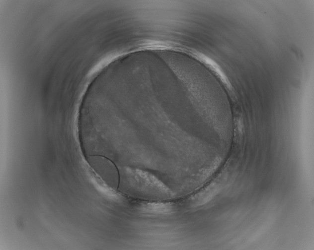 X0000111001427200906261449