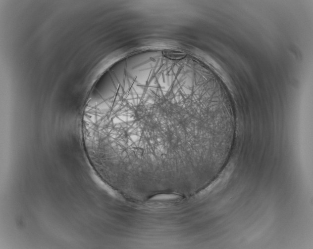 X0000111001433200906261449