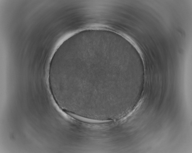 X0000111001437200906261449