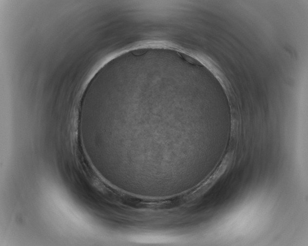 X0000111001438200906261449