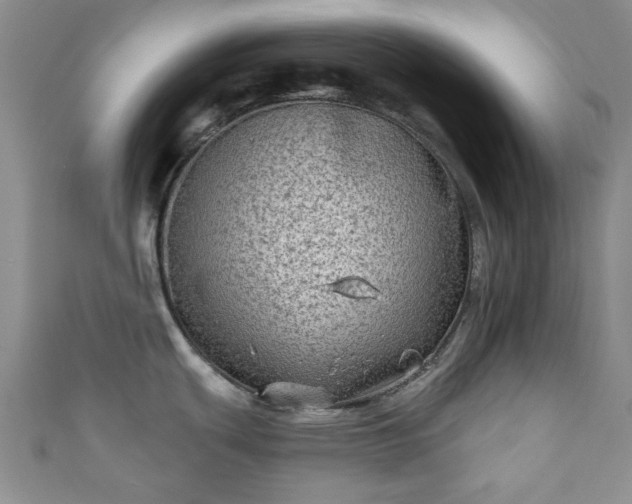 X0000111001439200906261449