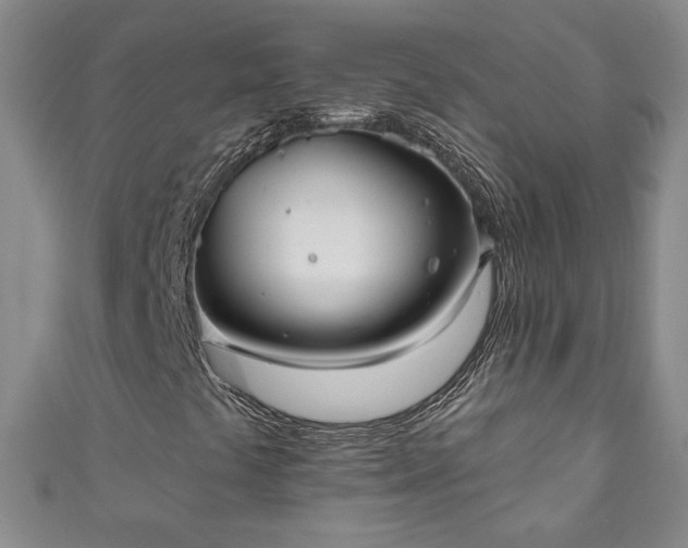 X0000111001441200906261449