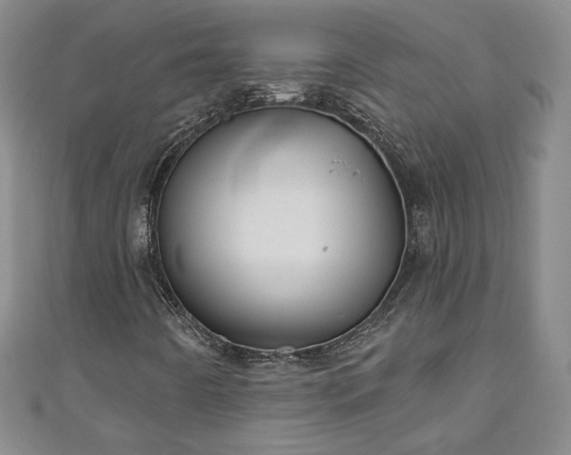 X0000111001442200906261449