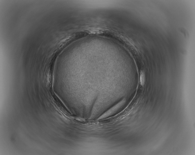 X0000111001444200906261449