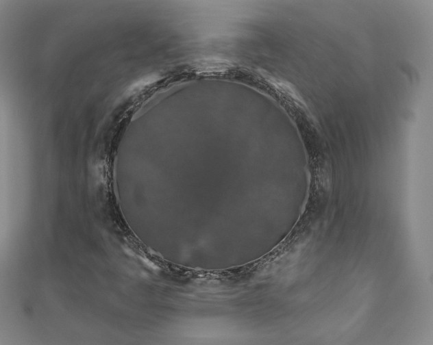 X0000111001445200906261449