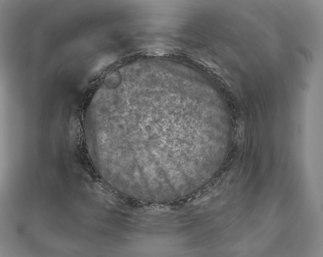 X0000111001446200906261449