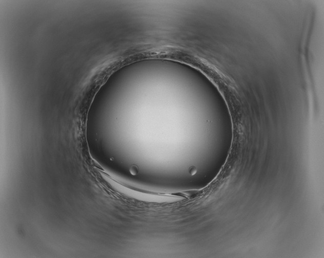 X0000111001447200906261449