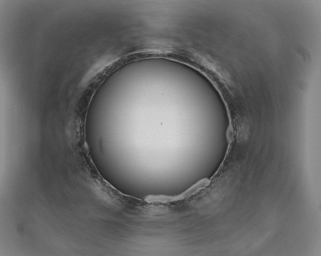 X0000111001448200906261449