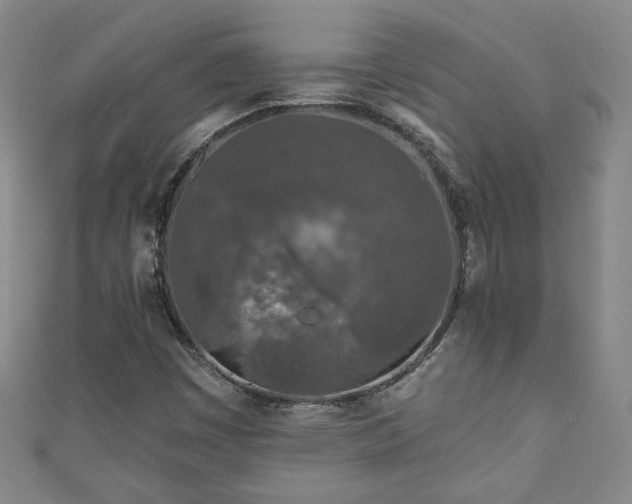 X0000111001449200906261449