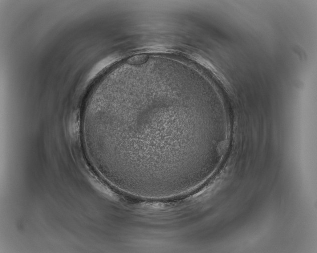 X0000111001450200906261449