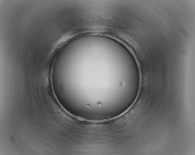 X0000111001451200906261449