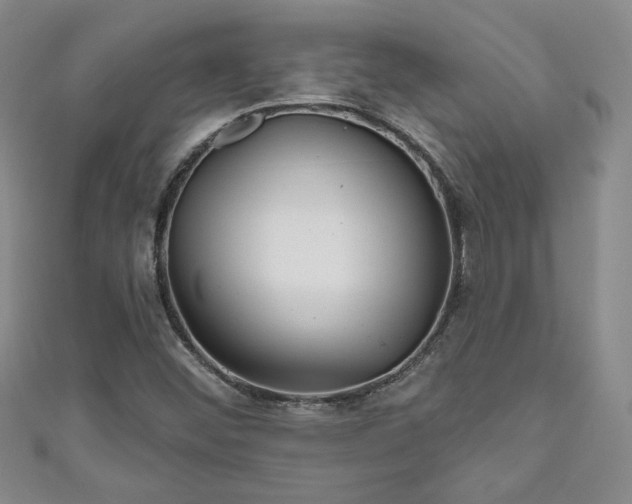 X0000111001452200906261449