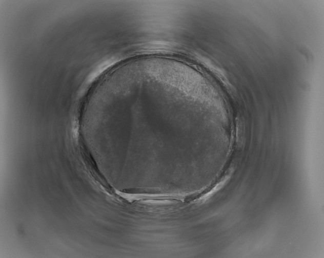 X0000111001453200906261449