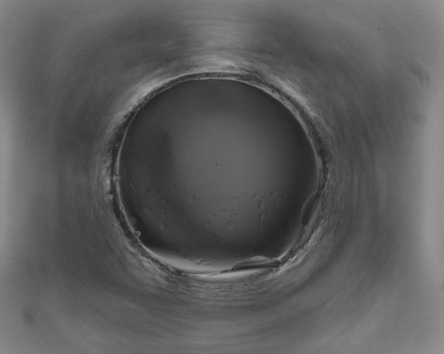 X0000111001455200906261448