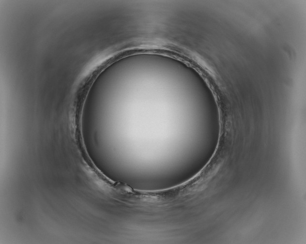 X0000111001456200906261448