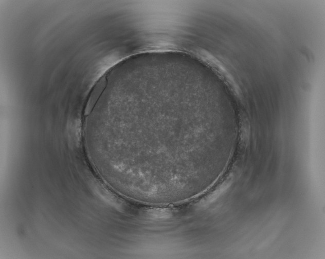 X0000111001457200906261448