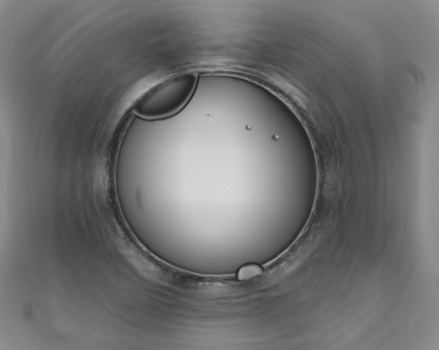 X0000111001458200906261448