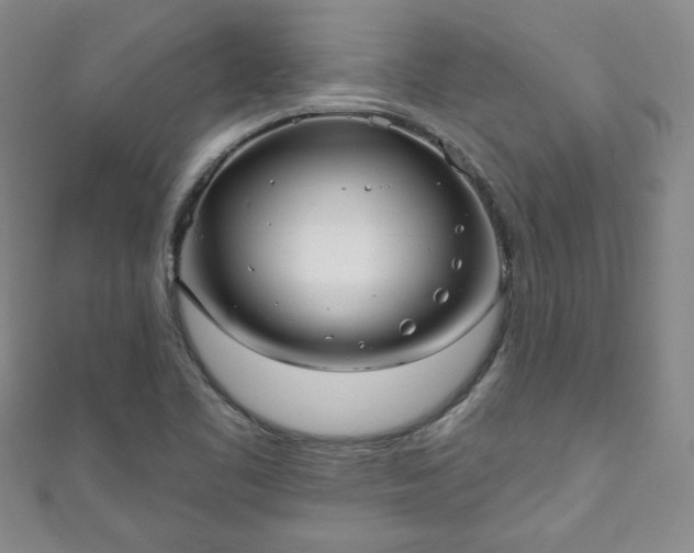 X0000111001461200906261448