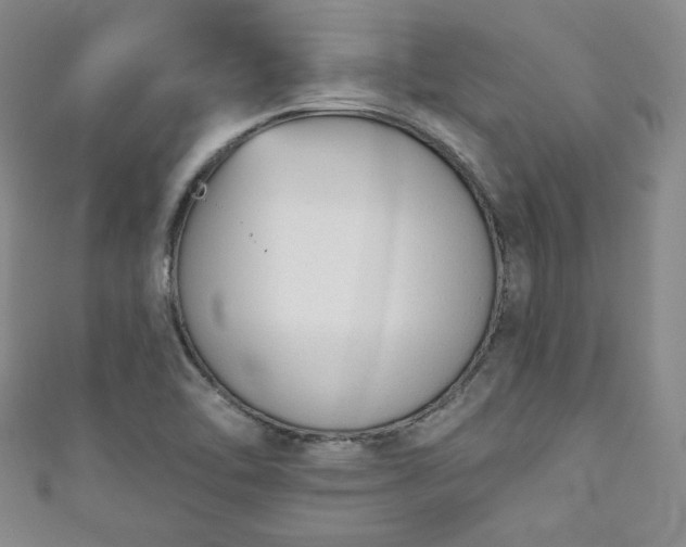 X0000111001462200906261448