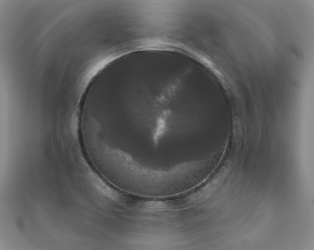 X0000111001463200906261448