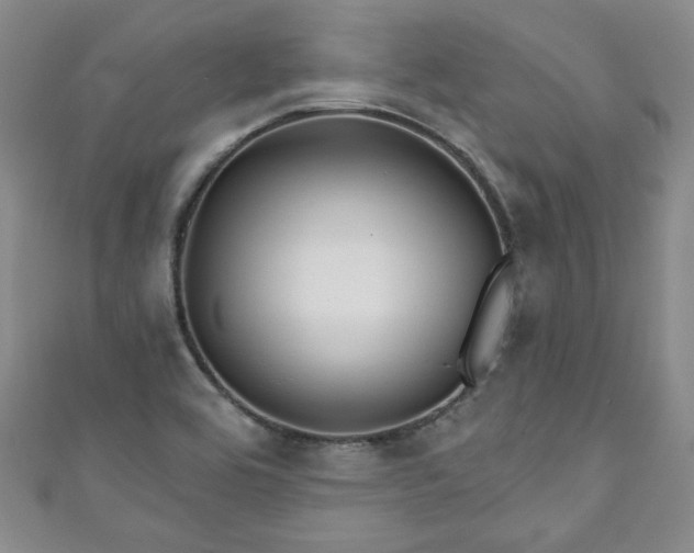 X0000111001464200906261448