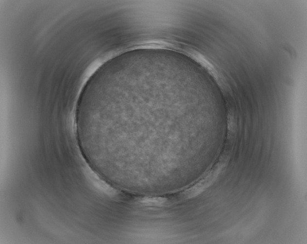 X0000111001466200906261448