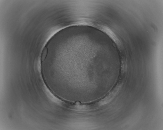 X0000111001468200906261448